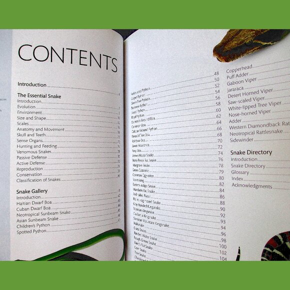 Book - Snake: The Essential Visual Guide by Chris Mattison - Picture 2 of 16